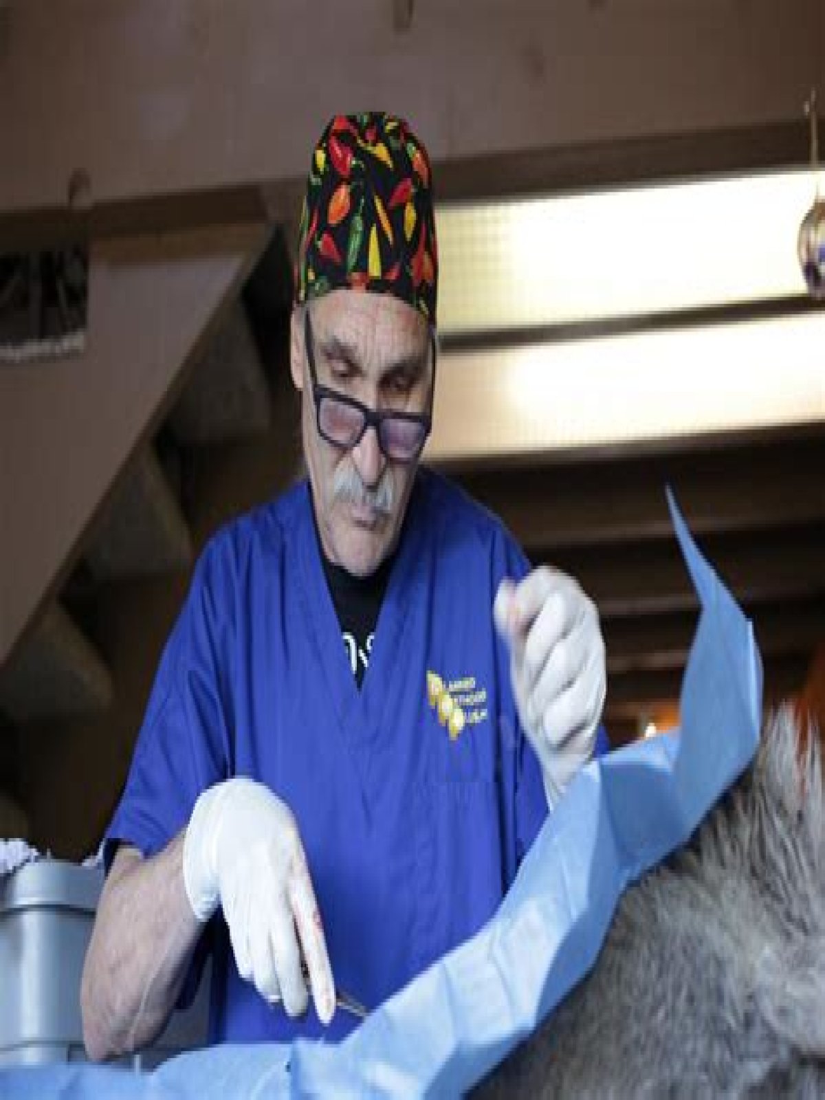 Understanding Dr. Jeff Young's Age And His Impact In Veterinary Medicine
