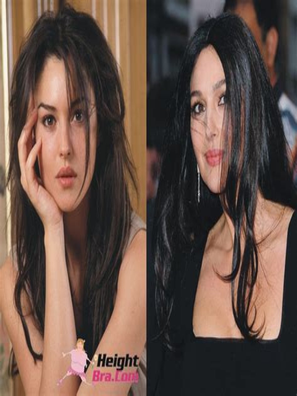 Unlocking The Secrets Of Monica Bellucci's Height: Discoveries And Insights