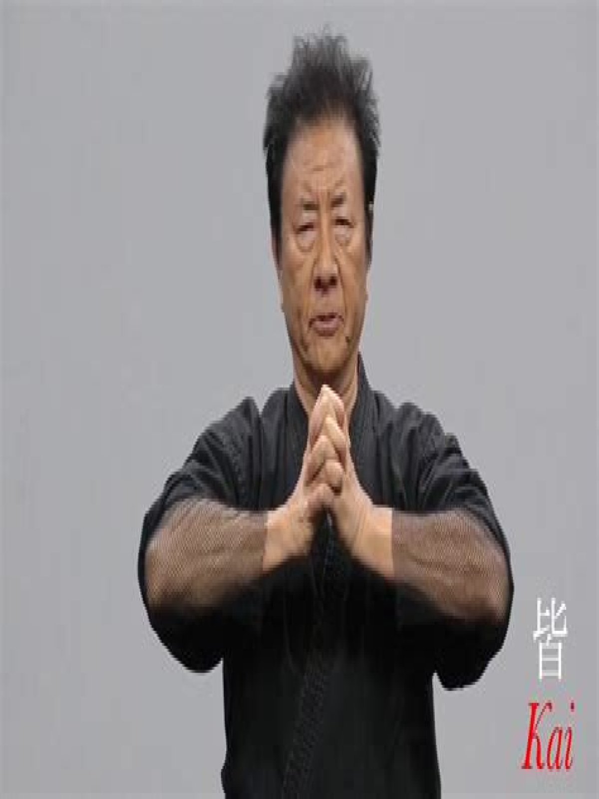 Unveiling The Mastery Of Shane Kosugi: A Journey Of Martial Arts And Cinema
